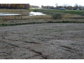 Property photo 78 - 127 Acres Offered in 8 Tracts - Allen & Dekalb County Land